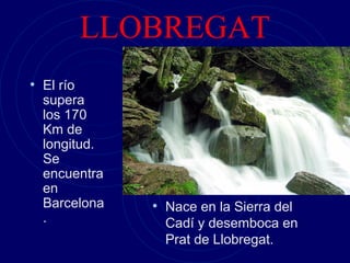 LLOBREGAT
• El río
  supera
  los 170
  Km de
  longitud.
  Se
  encuentra
  en
  Barcelona   • Nace en la Sierra del
  .             Cadí y desemboca en
                Prat de Llobregat.
 