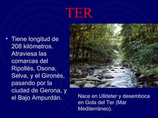 TER
• Tiene longitud de       • Nace en
  208 kilómetros.           Ulldeter y
  Atraviesa las             desemboca en
  comarcas del              Gola del Ter
  Ripollés, Osona,          (Mar
  Selva, y el Gironés,      Mediterráneo).
  pasando por la
  ciudad de Gerona, y
  el Bajo Ampurdán.      Nace en Ulldeter y desemboca
                         en Gola del Ter (Mar
                         Mediterráneo).
 