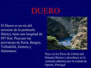 DUERO
                                  •
El Duero es un río del
noroeste de la península
Ibérica, tiene una longitud de
897 Km. Pasa por las
provincias de Soria, Burgos,
Valladolid, Zamora y
Salamanca.
                                 Nace en los Picos de Urbión del
                                 Sistema Ibérico y desmboca en la
                                 vertiente atlántica por la ciudad de
                                 Oporto, Portugal.
 