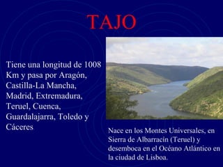 TAJO
                                •
Tiene una longitud de 1008
Km y pasa por Aragón,
Castilla-La Mancha,
Madrid, Extremadura,
Teruel, Cuenca,
Guardalajarra, Toledo y
Cáceres.                   Nace en los Montes Universales, en
                             Sierra de Albarracín (Teruel) y
                             desemboca en el Océano Atlántico en
                             la ciudad de Lisboa.
 