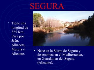 SEGURA
• Tiene una
  longitud de
  325 Km.
  Pasa por
  Jaén,
  Albacete,
  Murcia y      • Nace en la Sierra de Segura y
  Alicante.       desemboca en el Mediterraneo,
                  en Guardamar del Segura
                  (Alicante).
 