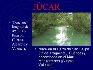 JÚCAR
• Tiene una
  longitud de
  497,5 Km.
  Pasa por
  Cuenca,
  Albacete y
  Valencia.     • Nace en el Cerro de San Felipe
                  (Sª de Tragacete, Cuenca) y
                  desemboca en el Mar
                  Mediterraneo (Cullera,
                  Valencia).
 