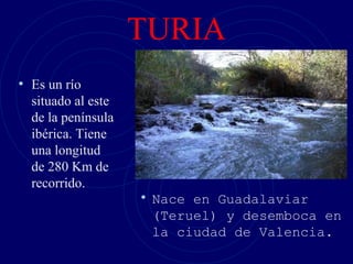 TURIA
• Es un río
  situado al este
  de la península
  ibérica. Tiene
  una longitud
  de 280 Km de
  recorrido.
                    • Nace en Guadalaviar
                     (Teruel) y desemboca en
                     la ciudad de Valencia.
 