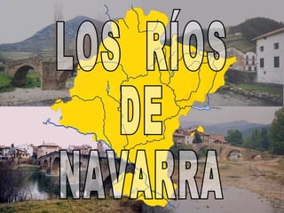 LOS  RÍOS DE NAVARRA 