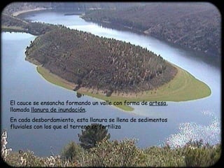 El cauce se ensancha formando un valle con forma de  artesa , llamada  llanura de inundación .  En cada desbordamiento, esta llanura se llena de sedimentos fluviales con los que el terreno se fertiliza 
