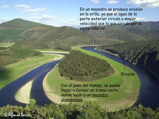 En un meandro se produce erosión en la orilla, ya que el agua de la parte exterior circula a mayor velocidad que la que circula por la parte interior Erosión Con el paso del tiempo, se puede llegar a formar un tramo recto, dando lugar a un  meandro abandonado 