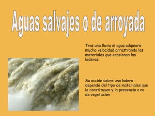 Aguas salvajes o de arroyada Tras una lluvia el agua adquiere mucha velocidad arrastrando los materiales que erosionan las laderas. Su acción sobre una ladera depende del tipo de materiales que la constituyen y la presencia o no de vegetación 