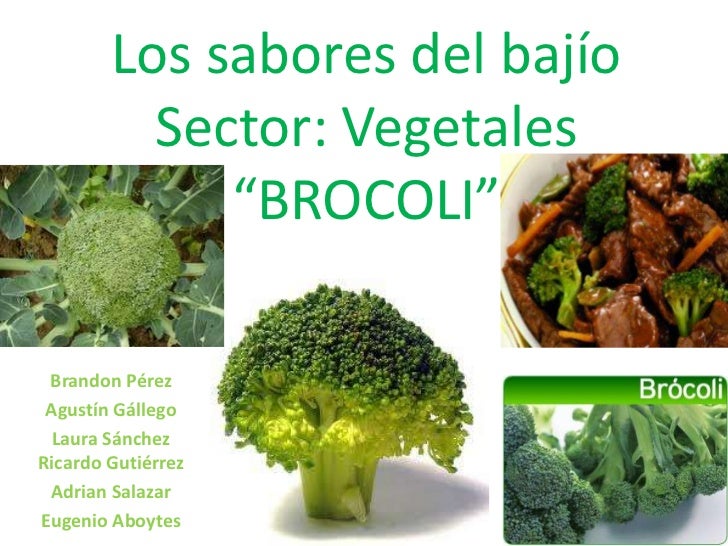 Los sabores del bajíoSector: Vegetales“BROCOLI”<br />Brandon Pérez <br />Agustín Gállego<br />Laura Sánchez Ricardo Gutiér...