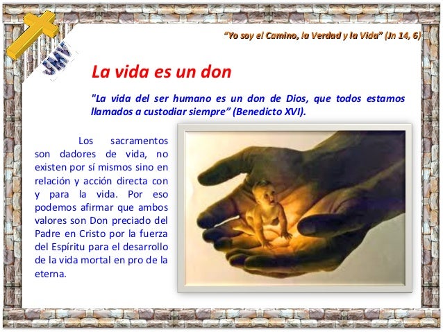 Los sacramentos y el don de la vida