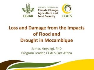 Loss and Damage from the Impacts
of Flood and
Drought in Mozambique
James Kinyangi, PhD
Program Leader, CCAFS East Africa
 