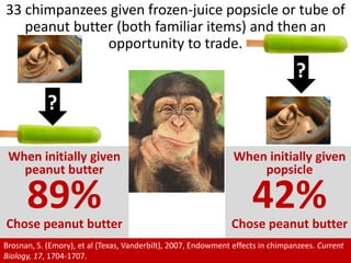 33 chimpanzees given frozen-juice popsicle or tube of peanut butter (both familiar items) and then an opportunity to trade.??When initially given peanut butter 89% Chose peanut butterWhen initially given popsicle42% Chose peanut butterBrosnan, S. (Emory), et al (Texas, Vanderbilt), 2007, Endowment effects in chimpanzees. Current Biology, 17, 1704-1707.