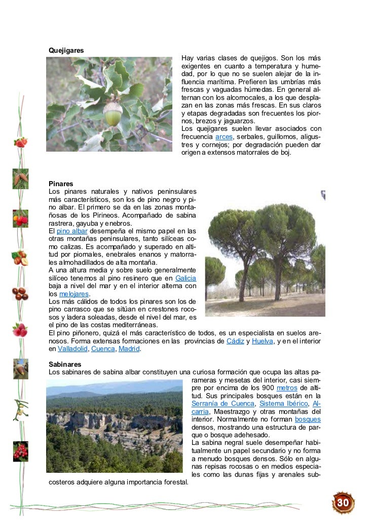 secreto chinesse semen en Cádiz secreto chinesse semen en Cádiz