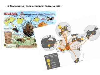 La Globalización de la economía: consecuencias
 