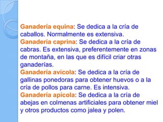 Ganadería equina: Se dedica a la cría de
caballos. Normalmente es extensiva.
Ganadería caprina: Se dedica a la cría de
cabras. Es extensiva, preferentemente en zonas
de montaña, en las que es difícil criar otras
ganaderías.
Ganadería avícola: Se dedica a la cría de
gallinas ponedoras para obtener huevos o a la
cría de pollos para carne. Es intensiva.
Ganadería apícola: Se dedica a la cría de
abejas en colmenas artificiales para obtener miel
y otros productos como jalea y polen.
 