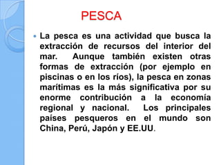 PESCA
 La pesca es una actividad que busca la
extracción de recursos del interior del
mar. Aunque también existen otras
formas de extracción (por ejemplo en
piscinas o en los ríos), la pesca en zonas
marítimas es la más significativa por su
enorme contribución a la economía
regional y nacional. Los principales
países pesqueros en el mundo son
China, Perú, Japón y EE.UU.
 