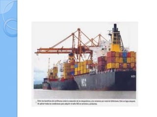 Los sectores económicos 10°