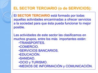 EL SECTOR TERCIARIO (o de SERVICIOS):
El SECTOR TERCIARIO está formado por todas
aquellas actividades encaminadas a ofrecer servicios
a la sociedad para que ésta pueda funcionar lo mejor
posible.
Las actividades de este sector las clasificamos en
muchos grupos, entre los más importantes están:
•TRANSPORTES.
•COMERCIO.
•SERVICIOS BANCARIOS.
•EDUCACIÓN.
•SANIDAD.
•OCIO y TURISMO.
•MEDIOS DE INFORMACIÓN y COMUNICACIÓN.
 