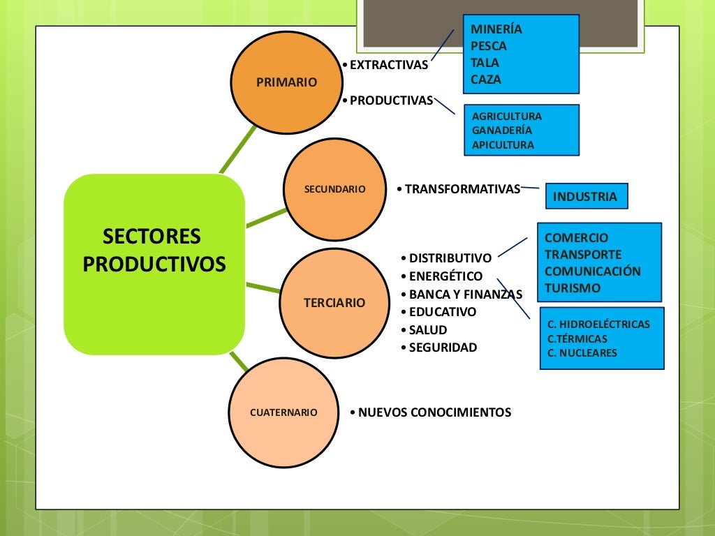 Cuadro Sinoptico De Los Sectores Productivos www.slideshare.net