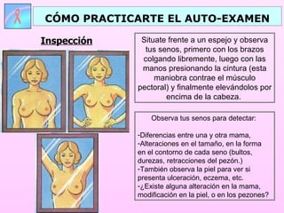 Situate frente a un espejo y observa tus senos, primero con los brazos colgando libremente, luego con las manos presionando la cintura (esta maniobra contrae el músculo pectoral) y finalmente elevándolos por encima de la cabeza.  Observa tus senos para detectar:  Diferencias entre una y otra mama, Alteraciones en el tamaño, en la forma  en el contorno de cada seno (bultos, durezas, retracciones del pezón.) También observa la piel para ver si presenta ulceración, eczema, etc.  ¿Existe alguna alteración en la mama, modificación en la piel, o en los pezones? CÓMO PRACTICARTE EL AUTO-EXAMEN Inspección 