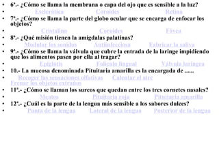 6ª.- ¿Cómo se llama la membrana o capa del ojo que es sensible a la luz?                  Esclerótica                       Coroides                                Retina   7ª.- ¿Cómo se llama la parte del globo ocular que se encarga de enfocar los objetos?                      Cristalino                       Coroides                              Fóvea   8ª.- ¿Qué misión tienen la amígdalas palatinas?           Modular los sonidos             Antiinfecciosa              Fabricar la saliva   9ª.- ¿Cómo se llama la válvula que cubre la entrada de la laringe impidiendo que los alimentos pasen por ella al tragar?                     Epiglotis                        Folículo lingual                  Válvula laríngea 10.- La mucosa denominada Pituitaria amarilla es la encargada de ......       Recoger las sensaciones olfativas        Calentar el aire        Frenar los objetos extraños   11ª.- ¿Cómo se llaman los surcos que quedan entre los tres cornetes nasales?                     Meatos                        Pituitaria roja                  Pituitaria amarilla 12ª.- ¿Cuál es la parte de la lengua más sensible a los sabores dulces?             Punta de la lengua           Lateral de la lengua          Posterior de la lengua   