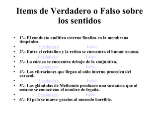 Items de Verdadero o Falso sobre los sentidos 1ª.- El conducto auditivo externo finaliza en la membrana timpánica.                    Verdadero                           Falso 2ª.- Entre el cristalino y la retina se encuentra el humor acuoso.                   Verdadero                           Falso 3ª.- La córnea se encuentra debajo de la conjuntiva.                   Verdadero                           Falso 4ª.- Las vibraciones que llegan al oído interno proceden del caracol.                    Verdadero                           Falso 5ª.- Las glándulas de Meibomio producen una sustancia que al secarse se conoce con el nombre de legaña.                   Verdadero                           Falso 6ª.- El pelo se mueve gracias al musculo horrible. 