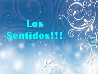 Los Sentidos!!!