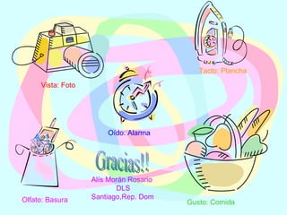 Olfato: Basura Vista: Foto Oído: Alarma Tacto: Plancha Gusto: Comida Gracias!! Alís Morán Rosario DLS Santiago,Rep. Dom