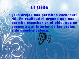 El Oído ¿Las orejas nos permiten escuchar? NO. En realidad el órgano que nos permite escuchar es el oído, que se encuentra al interior de las orejas y de nuestra cabeza.