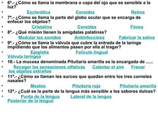 6ª.- ¿Cómo se llama la membrana o capa del ojo que es sensible a la luz?                  Esclerótica                       Coroides                                Retina   7ª.- ¿Cómo se llama la parte del globo ocular que se encarga de enfocar los objetos?                      Cristalino                       Coroides                              Fóvea   8ª.- ¿Qué misión tienen la amígdalas palatinas?           Modular  los sonidos             Antiinfecciosa              Fabricar la saliva   9ª.- ¿Cómo se llama la válvula que cubre la entrada de la laringe impidiendo que los alimentos pasen por ella al tragar?                     Epiglotis                        Folículo  lingual                  Válvula laríngea 10.- La mucosa denominada Pituitaria amarilla es la encargada de ......       Recoger las sensaciones olfativas        Calentar el aire        Frenar  los objetos extraños   11ª.- ¿Cómo se llaman los surcos que quedan entre los tres cornetes nasales?                     Meatos                        Pituitaria  roja                  Pituitaria amarilla 12ª.- ¿Cuál es la parte de la lengua más sensible a los sabores dulces?             Punta  de la lengua           Lateral de la lengua          Posterior de la lengua   