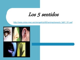 Los 5 sentidos
http://ares.cnice.mec.es/ciengehi/a/00/animaciones/a_fa01_01.swf
 