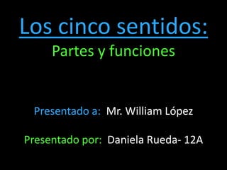 Los cinco sentidos: Partes y funciones Presentado a:  Mr. William López Presentado por:  Daniela Rueda- 12A 