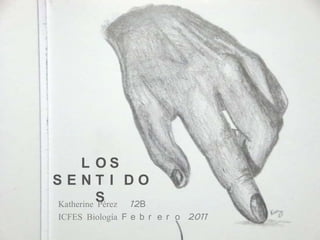 LOS SENTIDOS Katherine Pérez   12B ICFES Biología Febrero 2011 