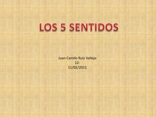 LOS 5 SENTIDOS ,[object Object],Juan Camilo Ruiz Vallejo,[object Object],12-,[object Object],11/02/2011,[object Object]