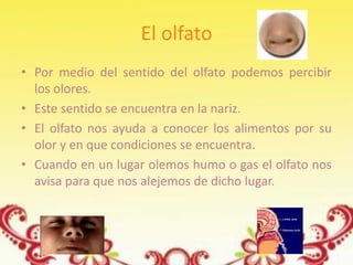 El olfato
• Por medio del sentido del olfato podemos percibir
  los olores.
• Este sentido se encuentra en la nariz.
• El olfato nos ayuda a conocer los alimentos por su
  olor y en que condiciones se encuentra.
• Cuando en un lugar olemos humo o gas el olfato nos
  avisa para que nos alejemos de dicho lugar.
 