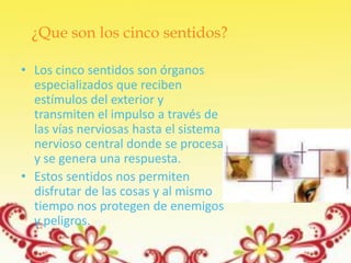 ¿Que son los cinco sentidos?

• Los cinco sentidos son órganos
  especializados que reciben
  estímulos del exterior y
  transmiten el impulso a través de
  las vías nerviosas hasta el sistema
  nervioso central donde se procesa
  y se genera una respuesta.
• Estos sentidos nos permiten
  disfrutar de las cosas y al mismo
  tiempo nos protegen de enemigos
  y peligros.
 