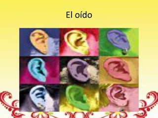 El oído
 