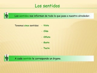 Los sentidos Los  sentidos   nos informan de todo lo que pasa a nuestro alrededor. Tenemos  cinco  sentidos: -   Vista -   Oído -   Olfato -   Gusto -   Tacto  A cada  sentido   le corresponde un órgano. 