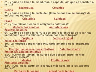 6ª.- ¿Cómo se llama la membrana o capa del ojo que es sensible a la luz?                  Esclerótica                       Coroides                                Retina   7ª.- ¿Cómo se llama la parte del globo ocular que se encarga de enfocar los objetos?                      Cristalino                       Coroides                              Fóvea   8ª.- ¿Qué misión tienen la amígdalas palatinas?           Modular los sonidos             Antiinfecciosa              Fabricar la saliva   9ª.- ¿Cómo se llama la válvula que cubre la entrada de la laringe impidiendo que los alimentos pasen por ella al tragar?                     Epiglotis                        Folículo lingual                  Válvula laríngea 10.- La mucosa denominada Pituitaria amarilla es la encargada de ......       Recoger las sensaciones olfativas        Calentar el aire        Frenar los objetos extraños   11ª.- ¿Cómo se llaman los surcos que quedan entre los tres cornetes nasales?                     Meatos                        Pituitaria roja                  Pituitaria amarilla 12ª.- ¿Cuál es la parte de la lengua más sensible a los sabores dulces?             Punta de la lengua           Lateral de la lengua          Posterior de la lengua   