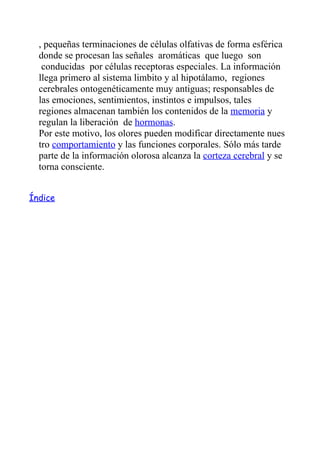 , pequeñas terminaciones de células olfativas de forma esférica
  donde se procesan las señales aromáticas que luego son
   conducidas por células receptoras especiales. La información
  llega primero al sistema limbito y al hipotálamo, regiones
  cerebrales ontogenéticamente muy antiguas; responsables de
  las emociones, sentimientos, instintos e impulsos, tales
  regiones almacenan también los contenidos de la memoria y
  regulan la liberación de hormonas.
  Por este motivo, los olores pueden modificar directamente nues
  tro comportamiento y las funciones corporales. Sólo más tarde
  parte de la información olorosa alcanza la corteza cerebral y se
  torna consciente.


Índice
 