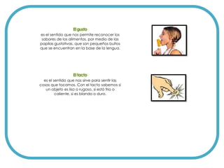 El gusto
es el sentido que nos permite reconocer los
 sabores de los alimentos, por medio de las
papilas gustativas, que son pequeños bultos
que se encuentran en la base de la lengua.




                     El tacto
  es el sentido que nos sirve para sentir las
cosas que tocamos. Con el tacto sabemos si
   un objeto es liso o rugoso, si está frio o
         caliente, si es blando o duro.
 