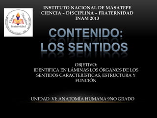 INSTITUTO NACIONAL DE MASATEPE
CIENCIA – DISCIPLINA – FRATERNIDAD
INAM 2013
OBJETIVO:
IDENTIFICA EN LÁMINAS LOS ÓRGANOS DE LOS
SENTIDOS CARACTERÍSTICAS, ESTRUCTURA Y
FUNCIÓN
UNIDAD VI: ANATOMÍA HUMANA 9NO GRADO
 