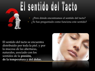 • ¿Pero dónde encontramos el sentido del tacto?
• ¿Te has preguntado como funciona este sentido?
El sentido del tacto se encuentra
distribuido por toda la piel. y por
la mucosa de las aberturas,
naturales, asociado con los
sentidos de la presión,
de la temperatura y del dolor.
 