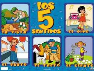 Los Sentidos