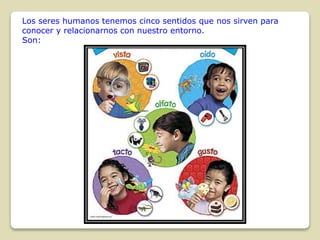 Los seres humanos tenemos cinco sentidos que nos sirven para
conocer y relacionarnos con nuestro entorno.
Son:

 