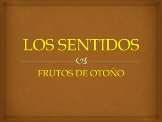 FRUTOS DE OTOÑO 
 