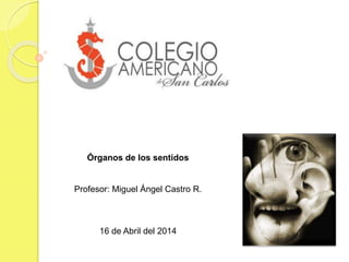 Órganos de los sentidos
Profesor: Miguel Ángel Castro R.
16 de Abril del 2014
 
