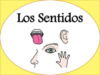 Los Sentidos
 