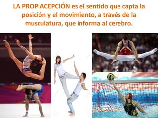 LA PROPIACEPCIÓN es el sentido que capta la
posición y el movimiento, a través de la
musculatura, que informa al cerebro.
 