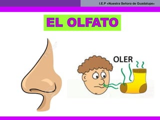 I.E.P «Nuestra Señora de GuadalupeI.E.P «Nuestra Señora de Guadalupe»
 