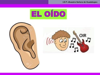 I.E.P «Nuestra Señora de Guadalupe»I.E.P «Nuestra Señora de Guadalupe»
 